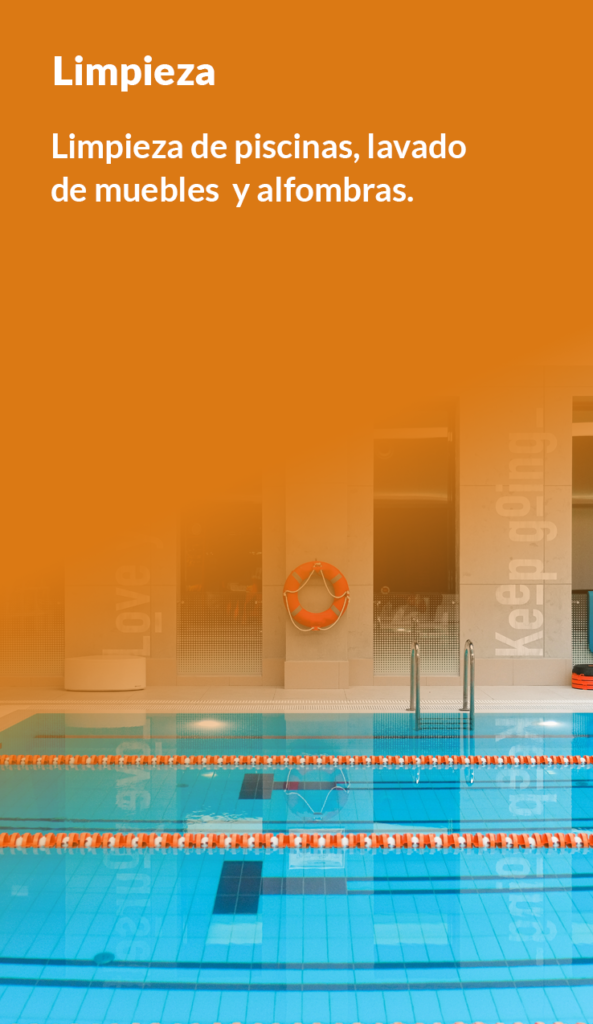 limpieza-593x1024